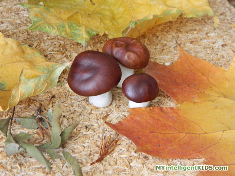 Поделка из природных материалов: грибы из каштанов