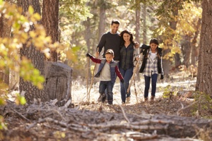 Родители с детьми гуляют по лесу
