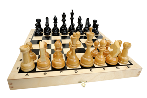 Игра в шахматы полезна для развития пространственных представлений