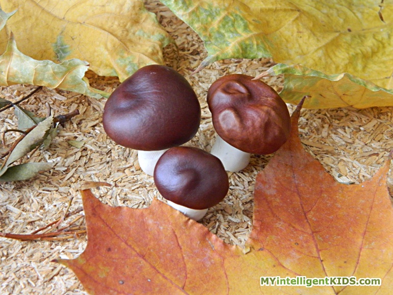 Для поделки - грибы из каштанов - пригодятся осенние листья